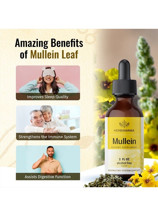 Mullein Leaf Tincture - Lung Cleanse - Vegan Lung Detox - Respiratory Health and Immune Support Drops - Natural Supplement Liquid Extract 2 fl.oz.