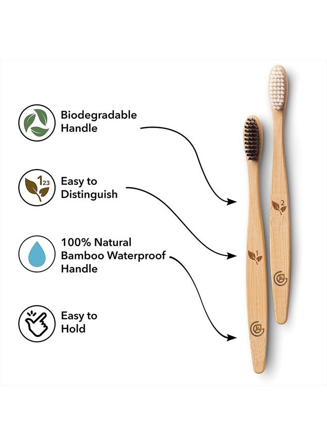 Bamboo Toothbrushes (12 Pack) | BPA Free Soft Bristles Eco-Friendly, Natural Toothbrush Set Biodegradable & Compostable Charcoal Wooden