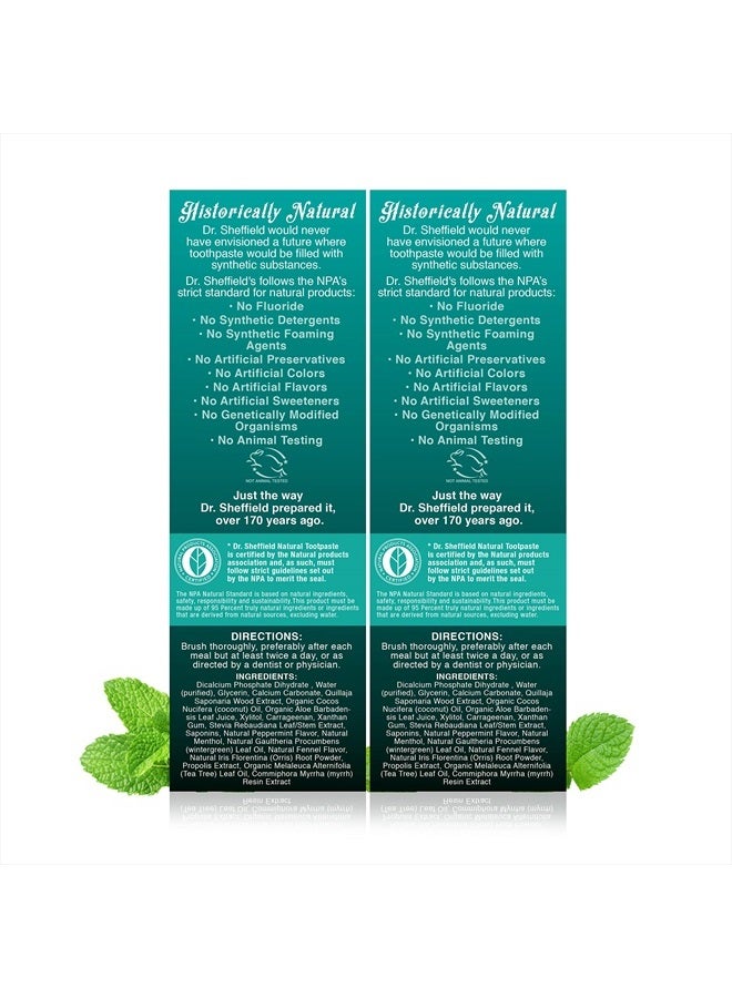 Certified Natural Toothpaste (Wintergreen) - Great Tasting, Fluoride Free Toothpaste/Freshen Your Breath, Whiten Your Teeth, Reduce Plaque (2-Pack)