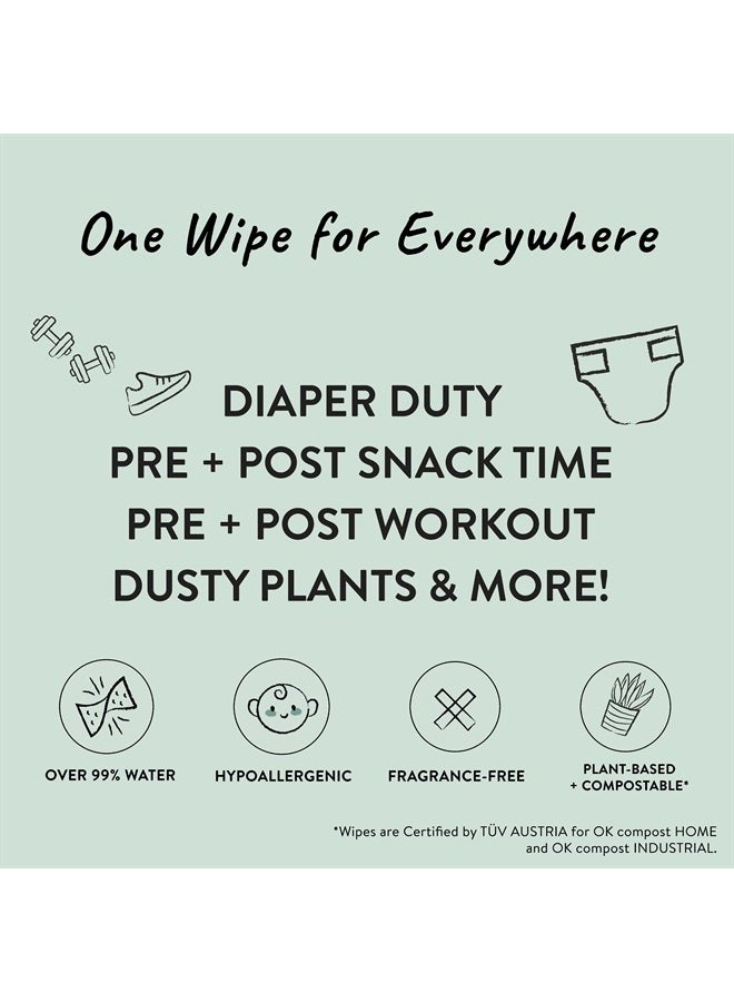 Clean Conscious Unscented Wipes | Over 99% Water, Compostable, Plant-Based, Baby Wipes | Hypoallergenic for Sensitive Skin, EWG Verified | Rose Blossom, 576 Count