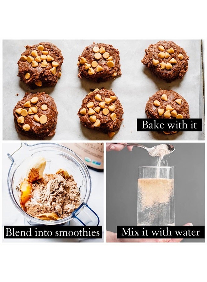 Vegan Protein Powder | Chocolate Peanut Butter | 20g Organic Plant Based Protein | 20 Servings | Pea Protein for Women and Men | Keto | Gluten & Dairy Free | Low Carb | No Added Sugar