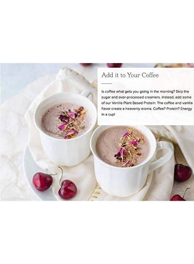 Vegan Protein Powder | Chocolate Peanut Butter | 20g Organic Plant Based Protein | 1 Serving | Pea Protein for Women and Men | Keto | Gluten & Dairy Free | Low Carb | No Added Sugar