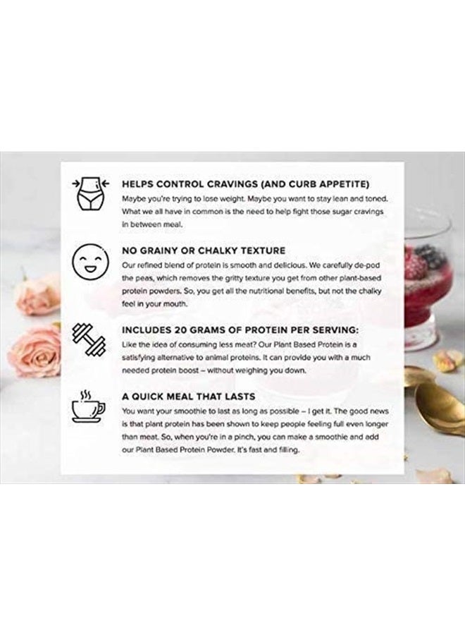 Vegan Protein Powder | Banana Cinnamon | 20g Organic Plant Based Protein | 1 Serving | Pea Protein for Women and Men | Keto | Gluten & Dairy Free | Low Carb | No Added Sugar