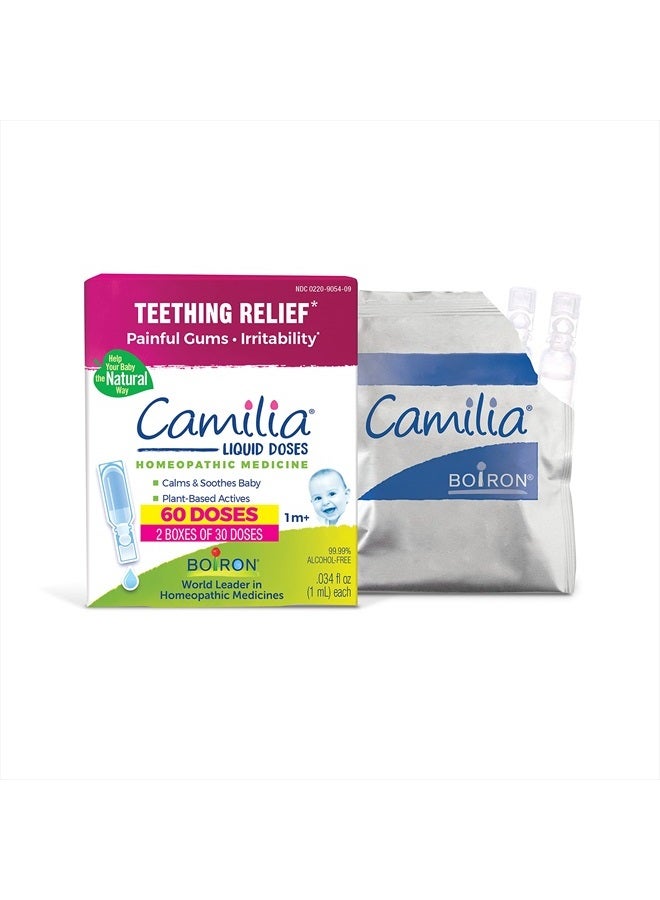 Camilia Teething Drops for Daytime and Nighttime Relief of Painful or Swollen Gums and Irritability in Babies - 60 Count