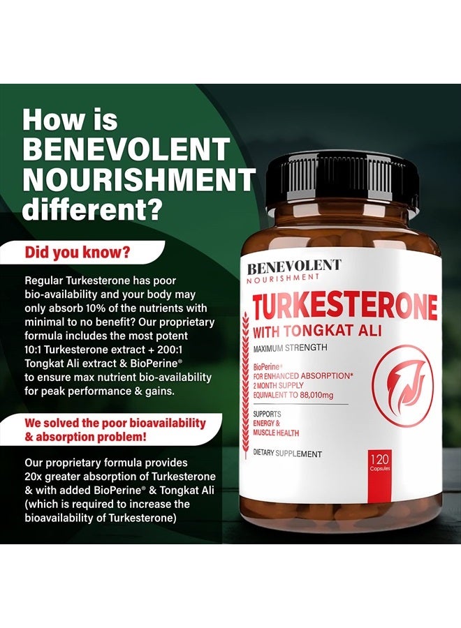 Turkesterone 8,000mg [Highest Purity] + BioPerine® for High Absorption Supplement with Tongkat Ali - Increase Stamina, Lean Muscle Growth & Recovery, Boosts Drive 3rd Party Tested 2 Months Supply