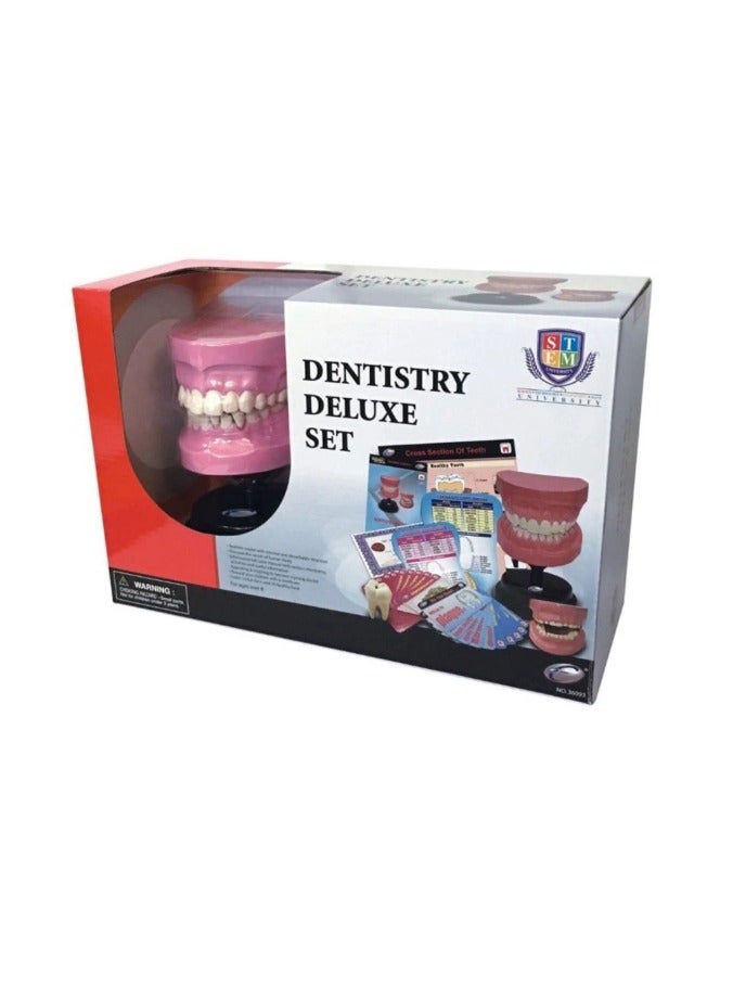 EASTCOLIGHT DENTISTRY DELUXE SET