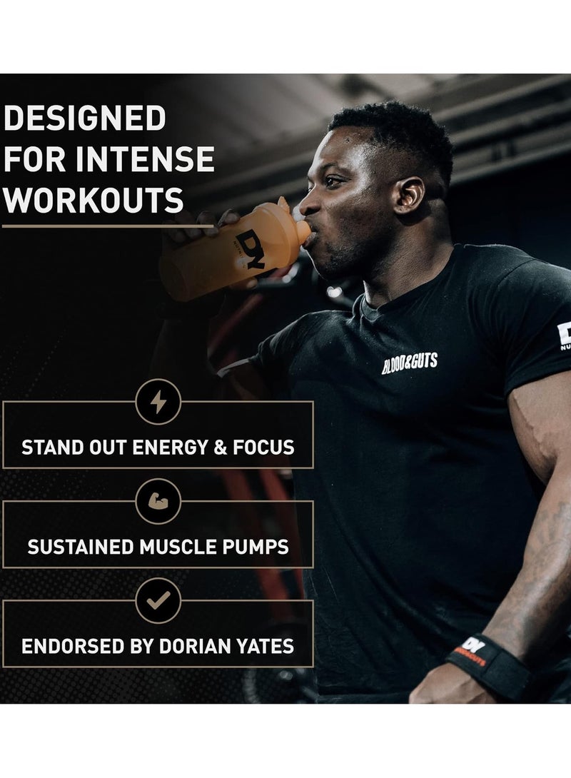 DY Nutrition Blood & Guts Pre-workout, Blueberry Flavor, 340g