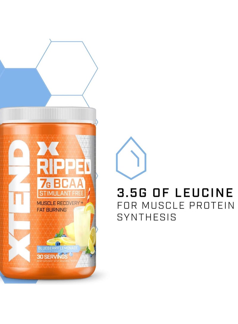 XTEND X Ripped 7g BCAA Stimulant Free Blueberry Lemonade Flavor 495g