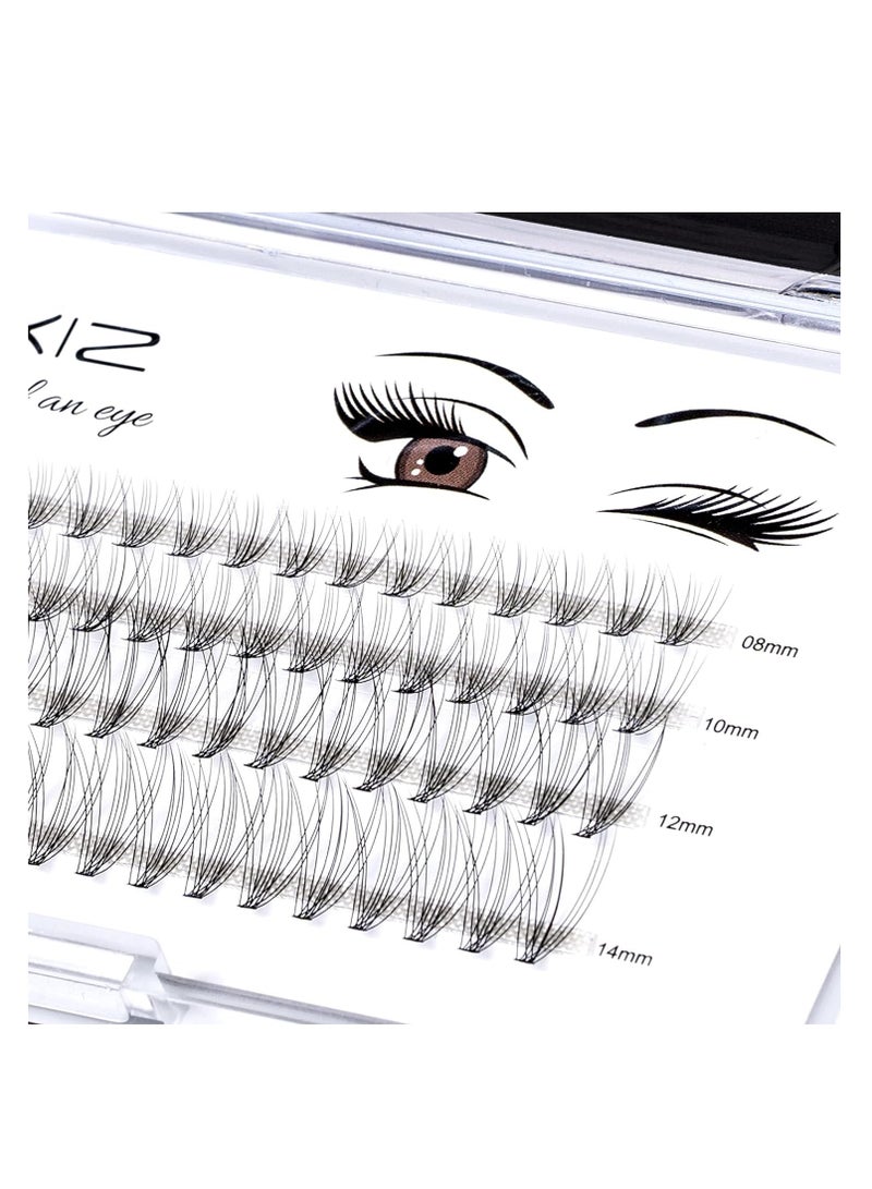 Home PRO DIY Individual Lashes Pack, LANKIZ Cluster Lashes for at Home DIY Eyelash Extension, C Curl 0.07mm Mix 10D False Natural Look Mink Single Eyelashes (10D-Lash-Mix)