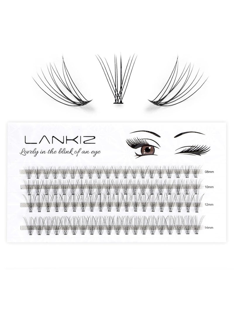 Home PRO DIY Individual Lashes Pack, LANKIZ Cluster Lashes for at Home DIY Eyelash Extension, C Curl 0.07mm Mix 10D False Natural Look Mink Single Eyelashes (10D-Lash-Mix)