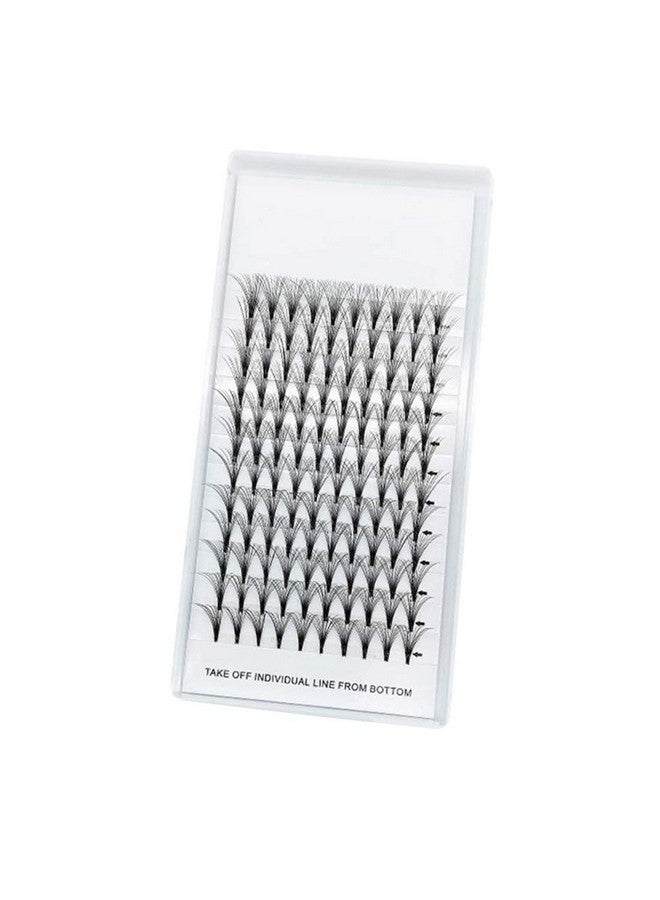Pro Grafting Thickness 0.07Mm 16D Individual False Eyelashes Cluster C Curl Soft And Light Weight Dramatic Volume Fans Eye Lashes Extensions 816Mm Available (13Mm)