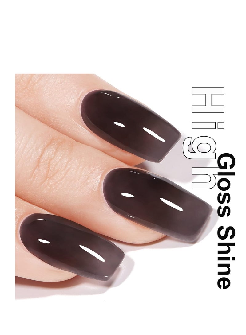 AILLSA Jelly Gel Nail Polish - Sheer Black Gel Polish Translucent Nail Polish Gel Soak Off U V Gel Polish Neutral Gel Polish for Nail Art Manicure DIY at Home 0.51 Fl Oz /GB48