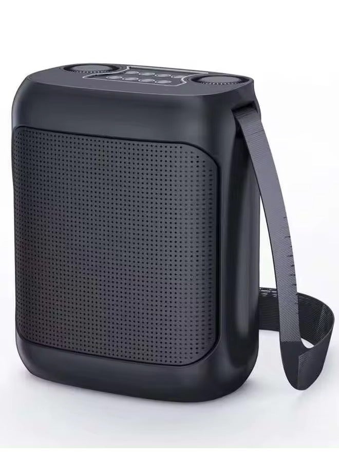 YS-220 Outdoor Karaoke Speaker Big Strap Speaker With Dual UHF Wireless Microphone Black