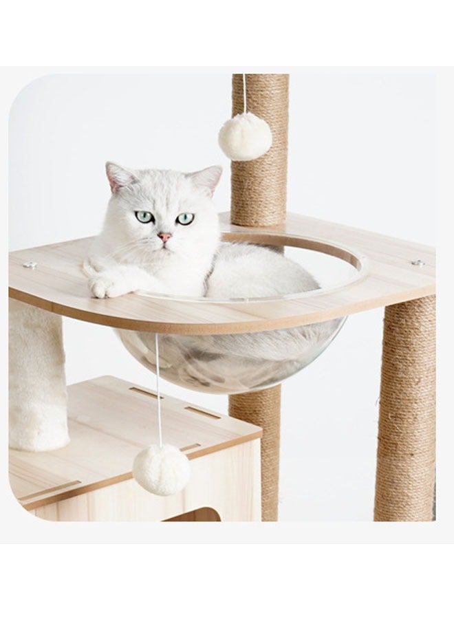 Multi-Level Kitten Play Tree with Scratching Post and Ladder