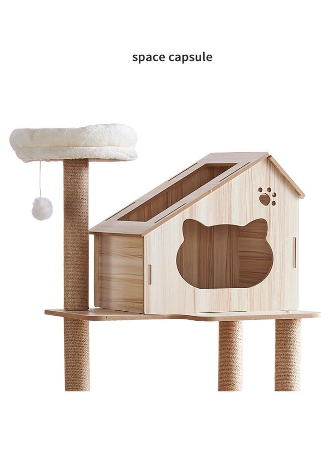 Multi-Level Kitten Play Tree with Scratching Post and Ladder