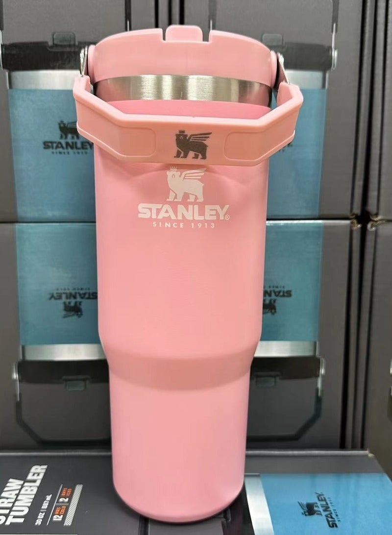 Stanley Large Capacity Insulated Water Bottle