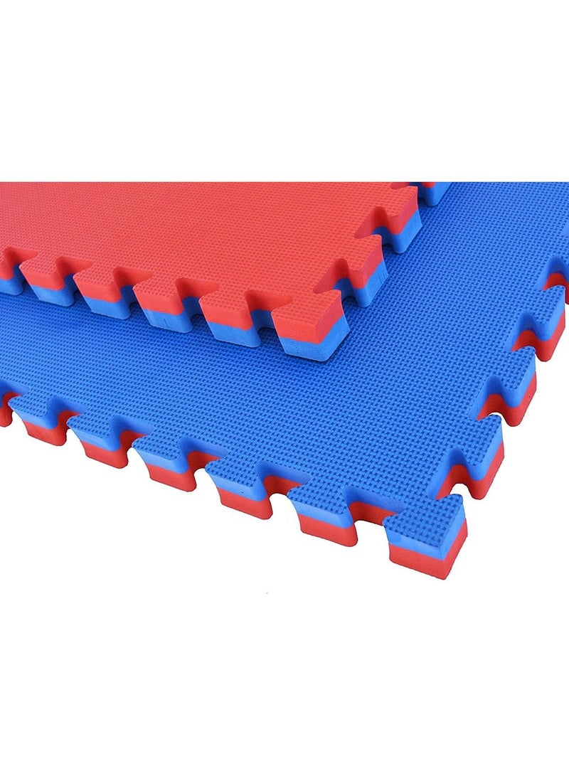 Interlocking Puzzle Mat-(2.5 cm, RED/BLUE)