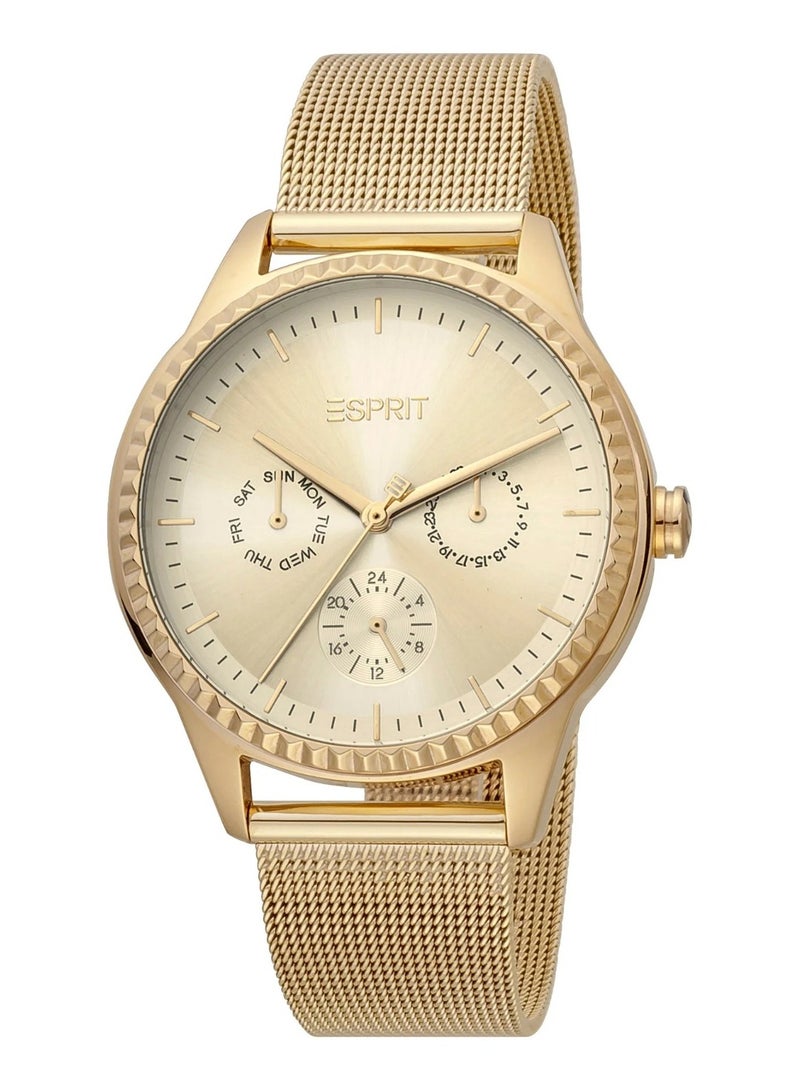 Esprit Stainless Steel Multi Function Women's Watch With Stainless Steel Gold Band ES1L220M0025