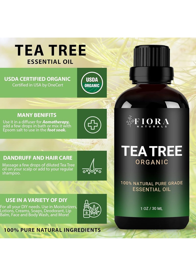 Tea Tree Essential Oil by Fiora Naturals- 100% Pure Organic Oil, for Face, Hair, Skin, Acne, Scalp, Foot and Toenails. Melaleuca Alternifolia, 1 oz /30ml