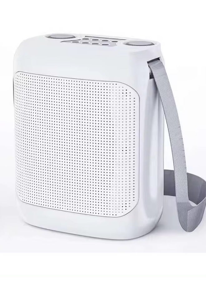 YS-220 Outdoor Karaoke Speaker Big Strap Speaker With Dual UHF Wireless Microphone White