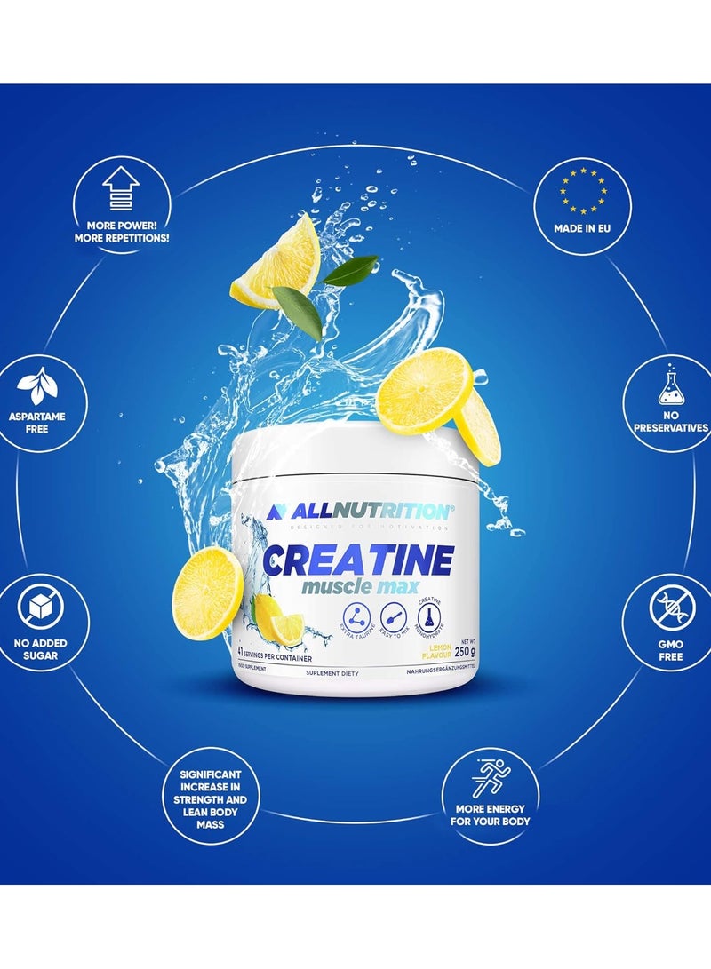 ALLNUTRITION Creatine Muscle Max Natural Flavor 41 Servings 250g