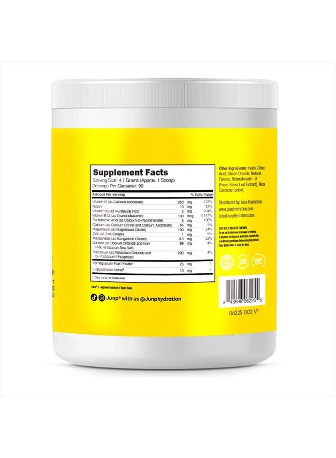 Hydration Electrolyte Powder, Electrolytes Drink Mix, Hydration Mix, Sugar Free, Gluten Free, 0 Calories, 0 Carbs, Keto Friendly, NON - GMO Kosher, 90 Servings. (Lemonade)