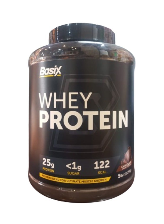Basix Whey Protein 2.25kg Chocolate chunk flavor 66 Serving
