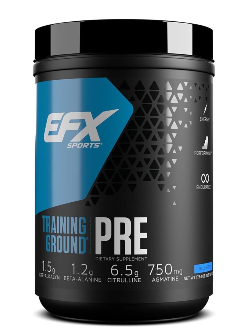 EFX SPORTS Training Ground Pre, Increase Focus, Endurance and Energy, Blueberry Flavor, 20 Servings