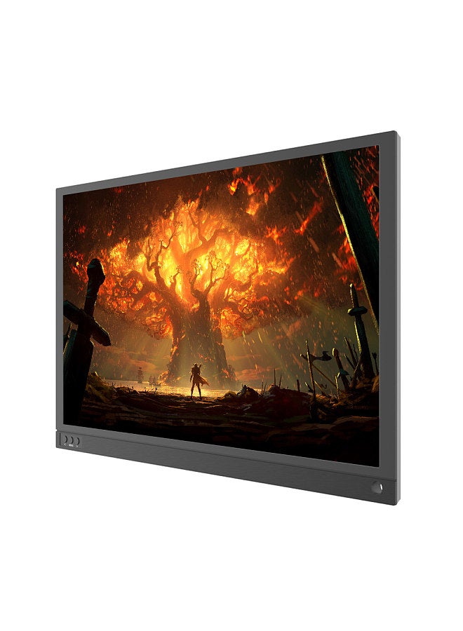 15.6 Inch Portable Monitor 1920x1080 Full HD IPS Screen with Type-C HDMI Built-in Stereo Speakers for Phone Laptop Camera Display Gaming