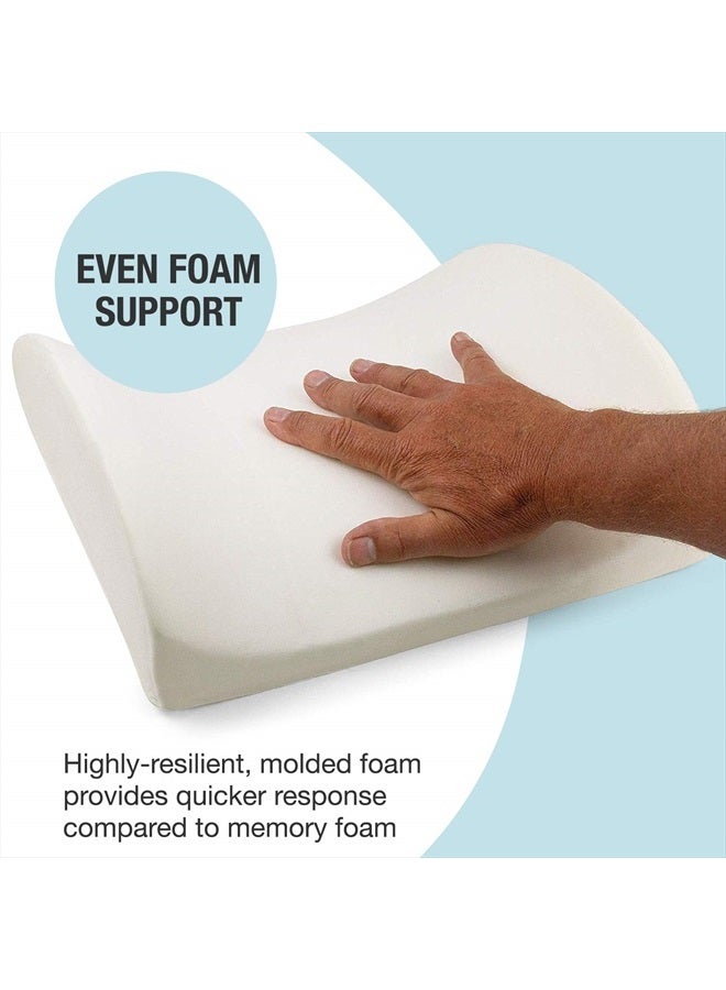 Lumbar Support Pillow for Chair to Assist with Back Support with Removable Washable Cover and Firm Insert to Ease Lower Back Pain while Improving Posture, 14 x 13 x 5, Contoured Foam, Elite, Gray