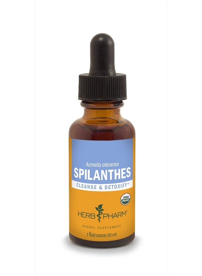 Certified Organic Spilanthes Liquid Extract for Cleansing and Detoxification - 1 Ounce