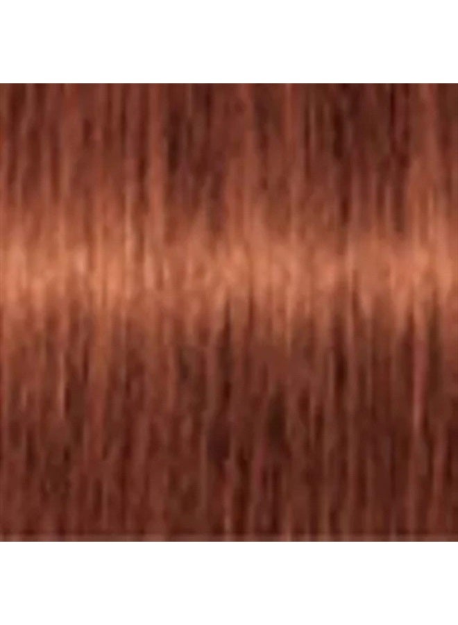 Professional Igora Royal Color Creme Tube, Dark Blonde Copper, 60 Gram