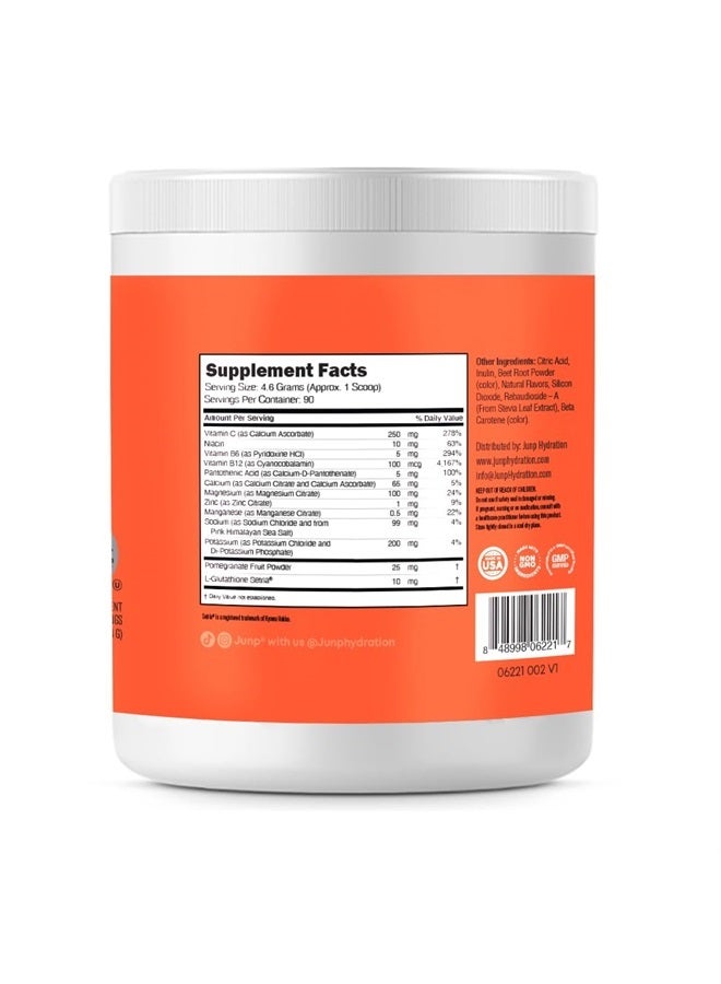 Hydration Electrolyte Powder, Electrolytes Drink Mix, Hydration Mix, Sugar Free, Gluten Free, 0 Calories, 0 Carbs, Keto Friendly, NON - GMO Kosher, 90 Servings. (Peach)