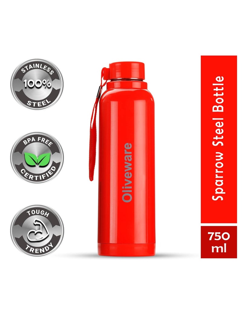 Aura Insulated Stainless Steel Bottle - Red | Keep Hot & Cold for Long Hours | Fits Bags & Fridge | Strap for Easy Carry - 690ml