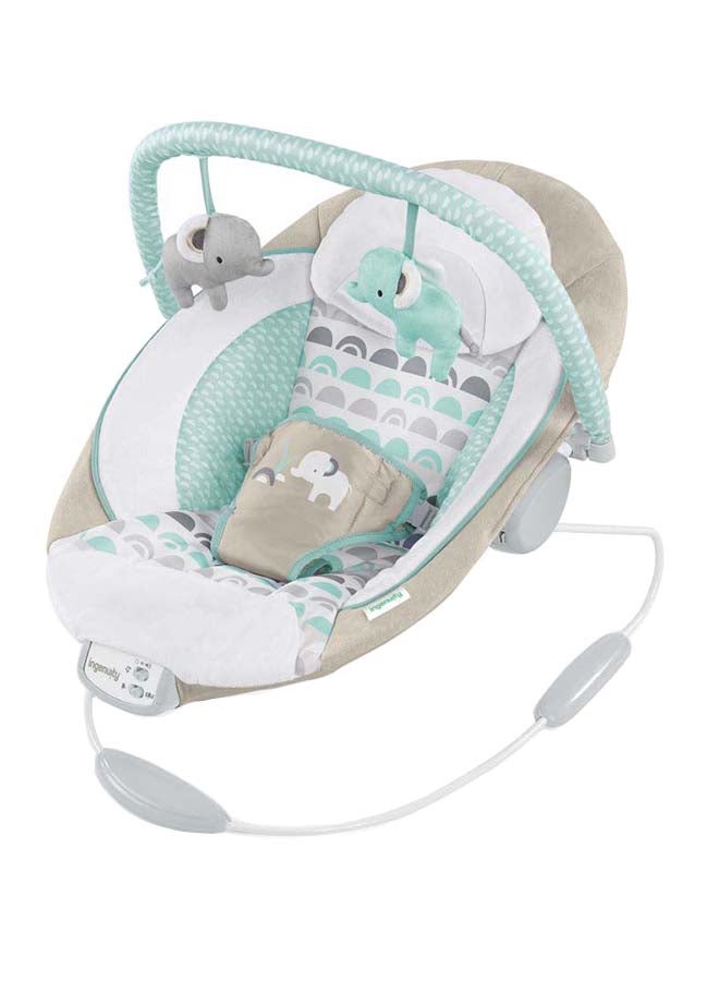 Cradling Seat Baby Bouncer - Whitaker