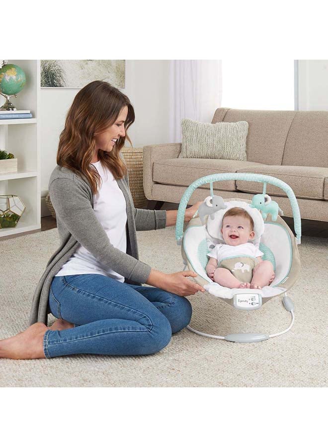 Cradling Seat Baby Bouncer - Whitaker