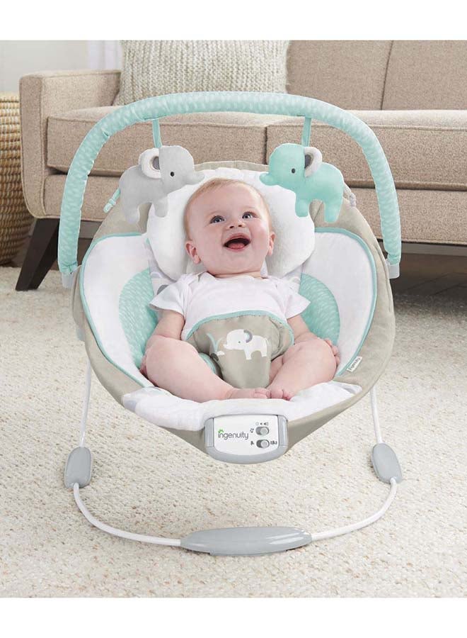 Cradling Seat Baby Bouncer - Whitaker