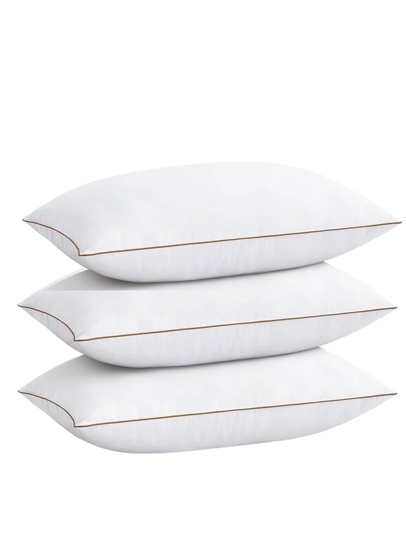 3 Piece Pack Classic Single Piping Golden Line Cotton Bed Pillow 50x70cm Made in Uae