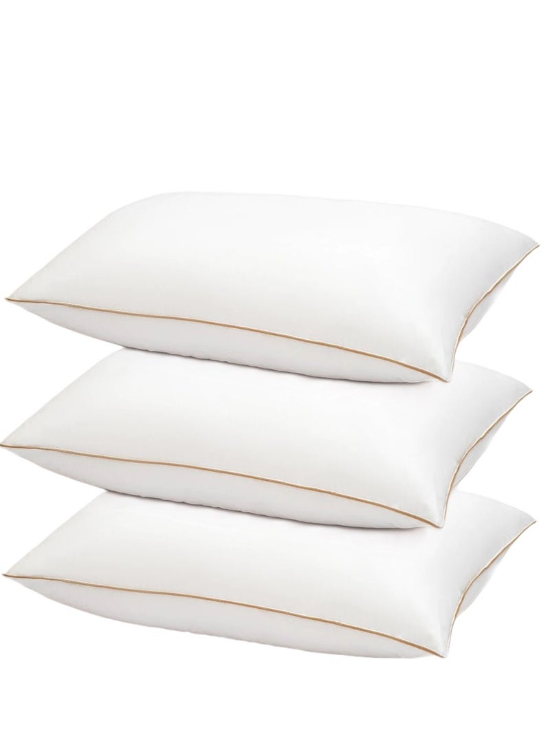 3 Piece Pack Gold Single Piping Bed Pillow Cotton White 50x70cm Made in Uae