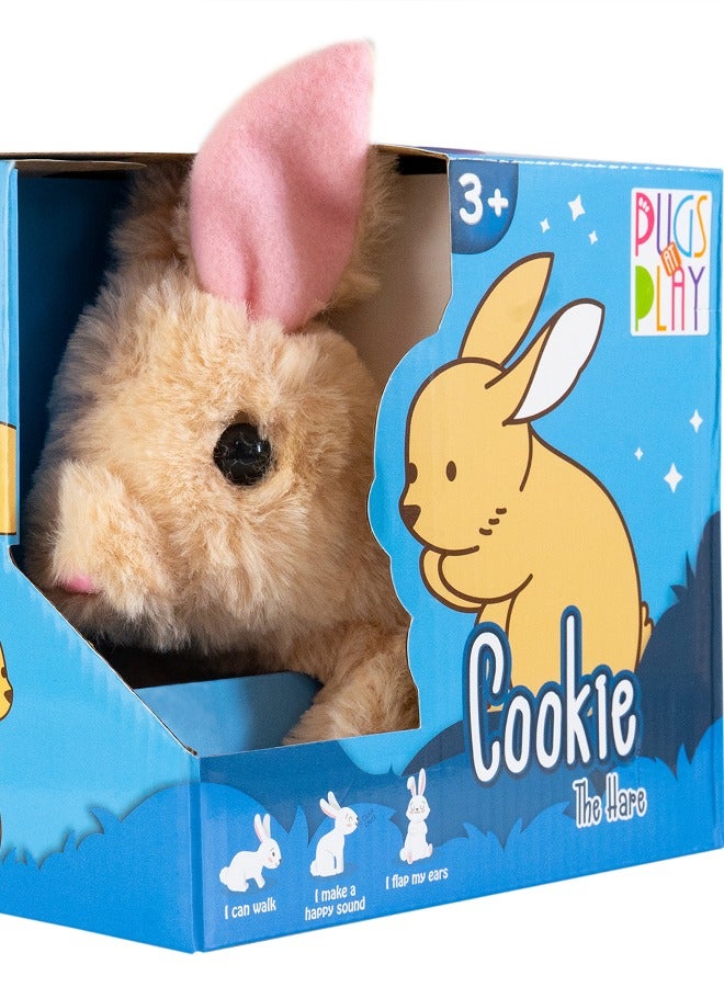 COOKIE JUMPING RABBIT