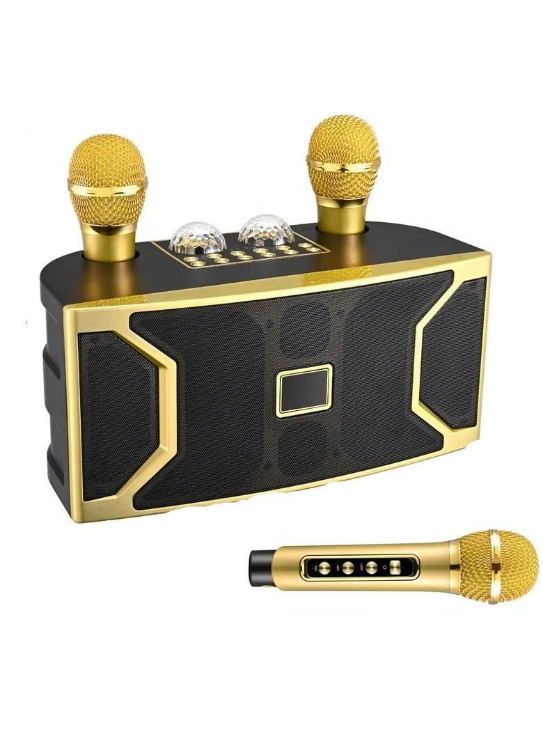 SD-508 New Mini Karaoke speaker