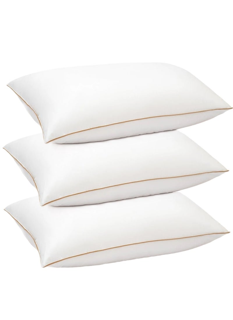 3 Piece Pack Cotton Single Piping Golden Line Pillow White 50x70cm Made in Uae
