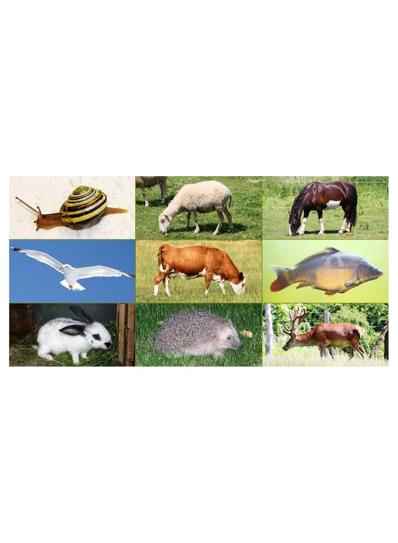 Half Animals Memo Puzzle Discover And Match 9 Animals