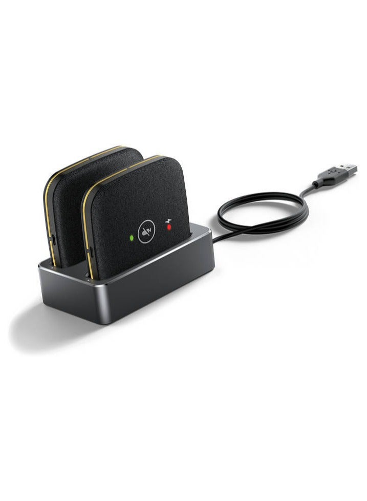 CPW65 Wireless DECT Duo Expansion Mic for CP965