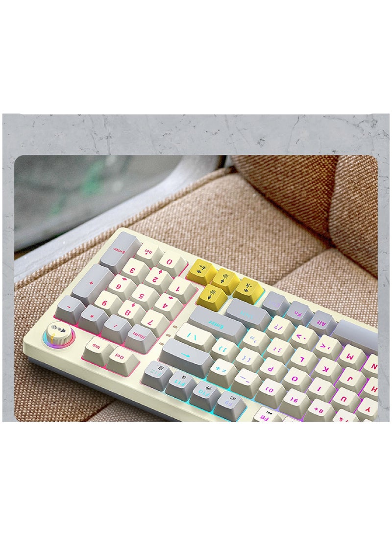 80% Mechanical Gaming Keyboard LED Backlit Compact 97 Keys Wired Mechanical Keyboard With Volume Control Knob  Switch Keyboard for Gaming or Office