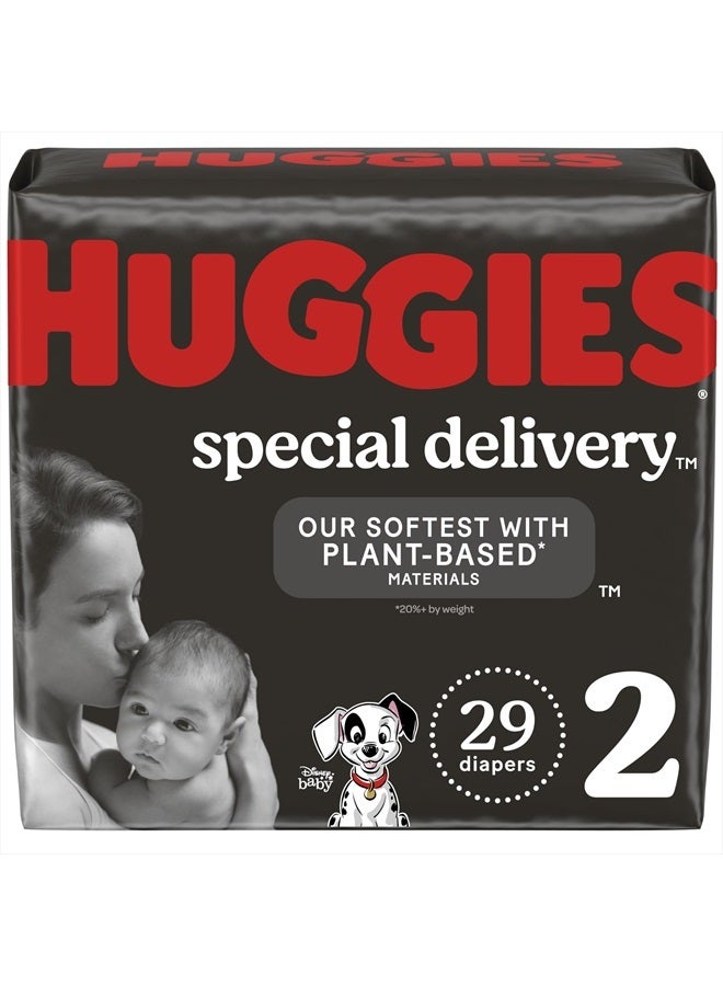 Huggies Special Delivery Hypoallergenic Baby Diapers Size 2 (12-18 lbs), 29 Ct, Fragrance Free, Safe for Sensitive Skin