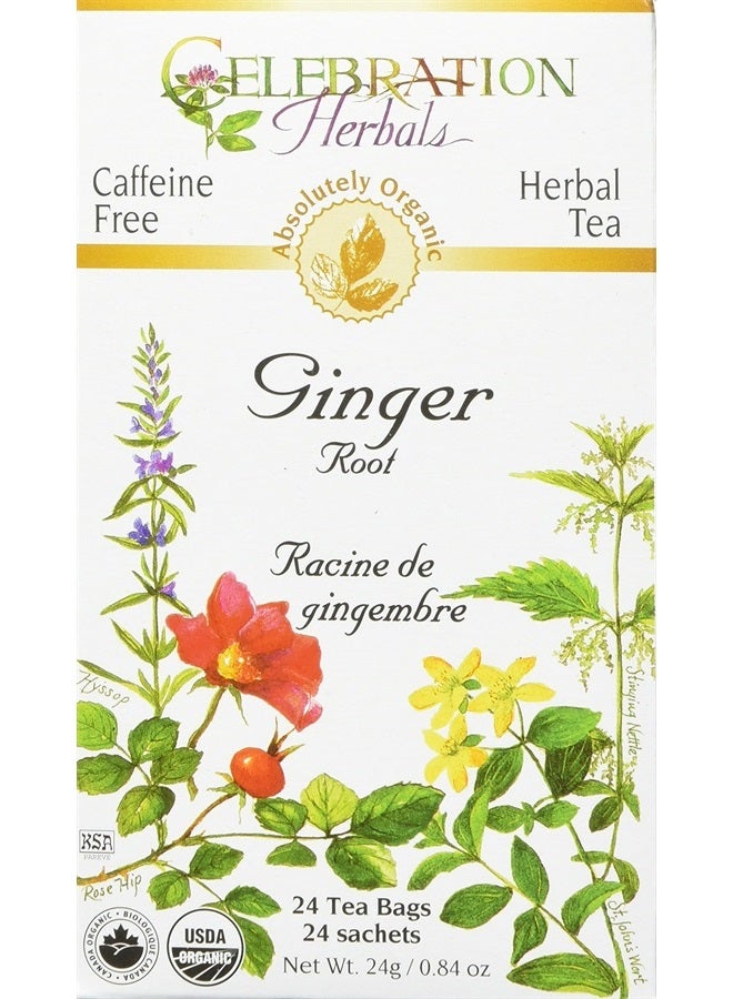 CELEBRATION HERBALS Ginger Root Tea Organic 24 Bag, 0.02 Pound