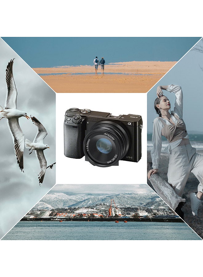 25mm F1.8 APS-C Manual Focus Camera Lens Large Aperture Wide Angle Replacement for Sony E-Mount Mirrorless Cameras A7III/A9/NEX 3 3N/NEX 5 5T 5R/NEX 6 7/A5000/A5100/A6500/A6400/A6300/A6100/A6000