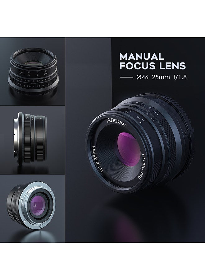 25mm F1.8 APS-C Manual Focus Camera Lens Large Aperture Wide Angle Replacement for Sony E-Mount Mirrorless Cameras A7III/A9/NEX 3 3N/NEX 5 5T 5R/NEX 6 7/A5000/A5100/A6500/A6400/A6300/A6100/A6000