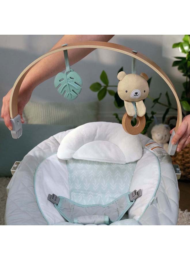 Cozy Spot Soothing Bouncer